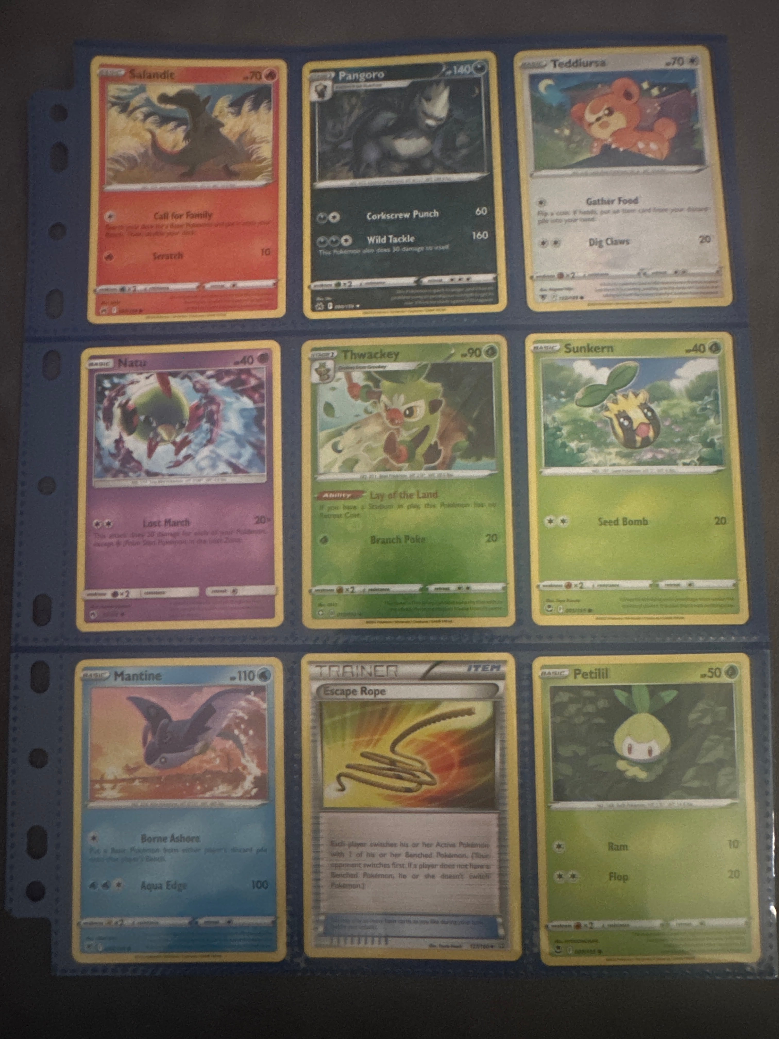 Pokémon